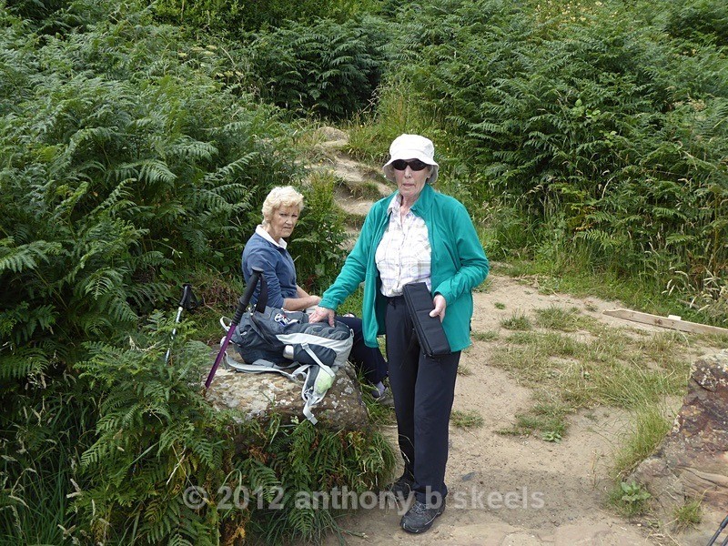 049 A more comfortable lunch perch - York Minster Walkers Collection 2025