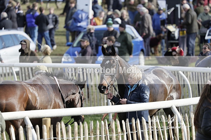 PtP 100423 927 - Old Berkshire Point-to-Point Lockinge 10/04/23