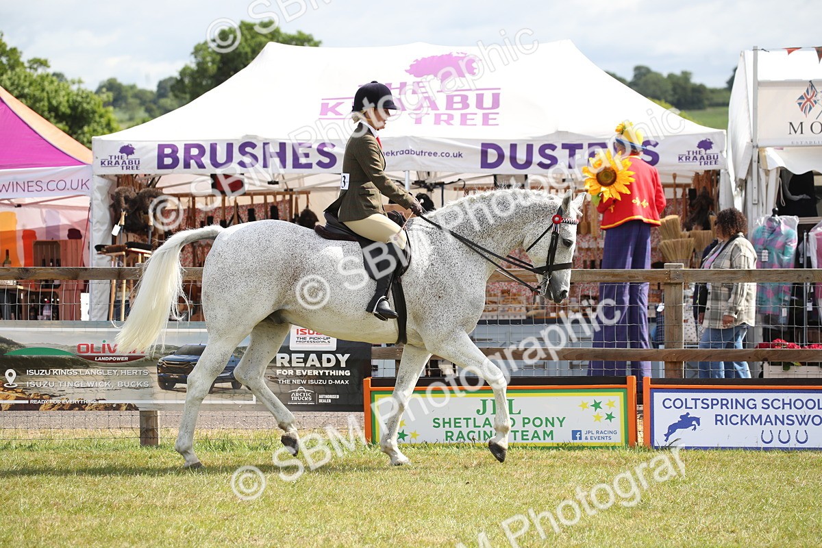 SBM_13195 - Class 95-96 - LIHS BSHA Rising Star Hack Riding Horse