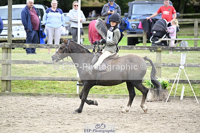 240822X-150736-11548 - 40cm A R2 15.00 to 16.16