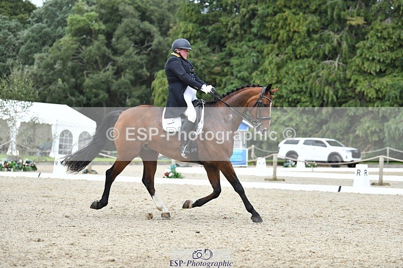 230812-154937-05216 - Cls 10 FEI Inter I Silver