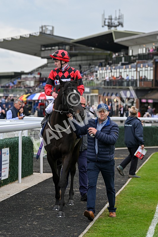 140524-Race 6-Flickering Halo-2771 - Race 6