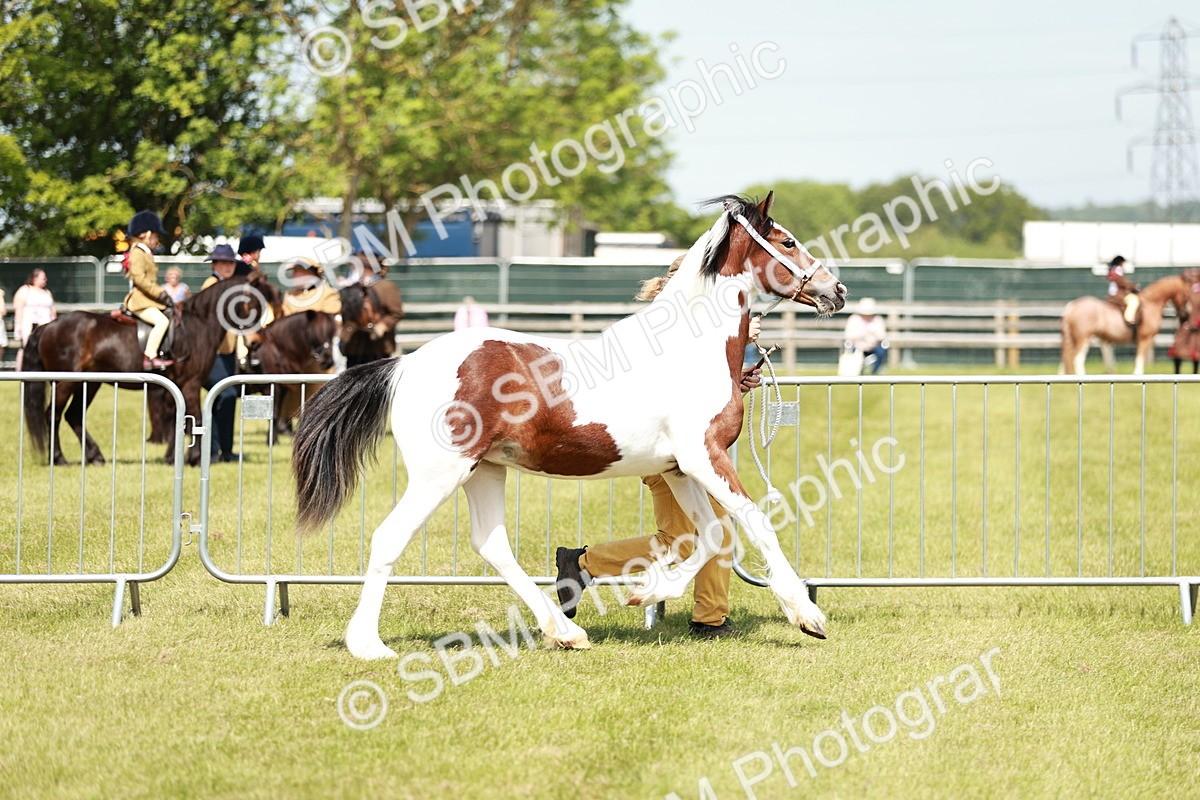 SBM_04130 - Class 39-40 - BSPA Coloured In Hand
