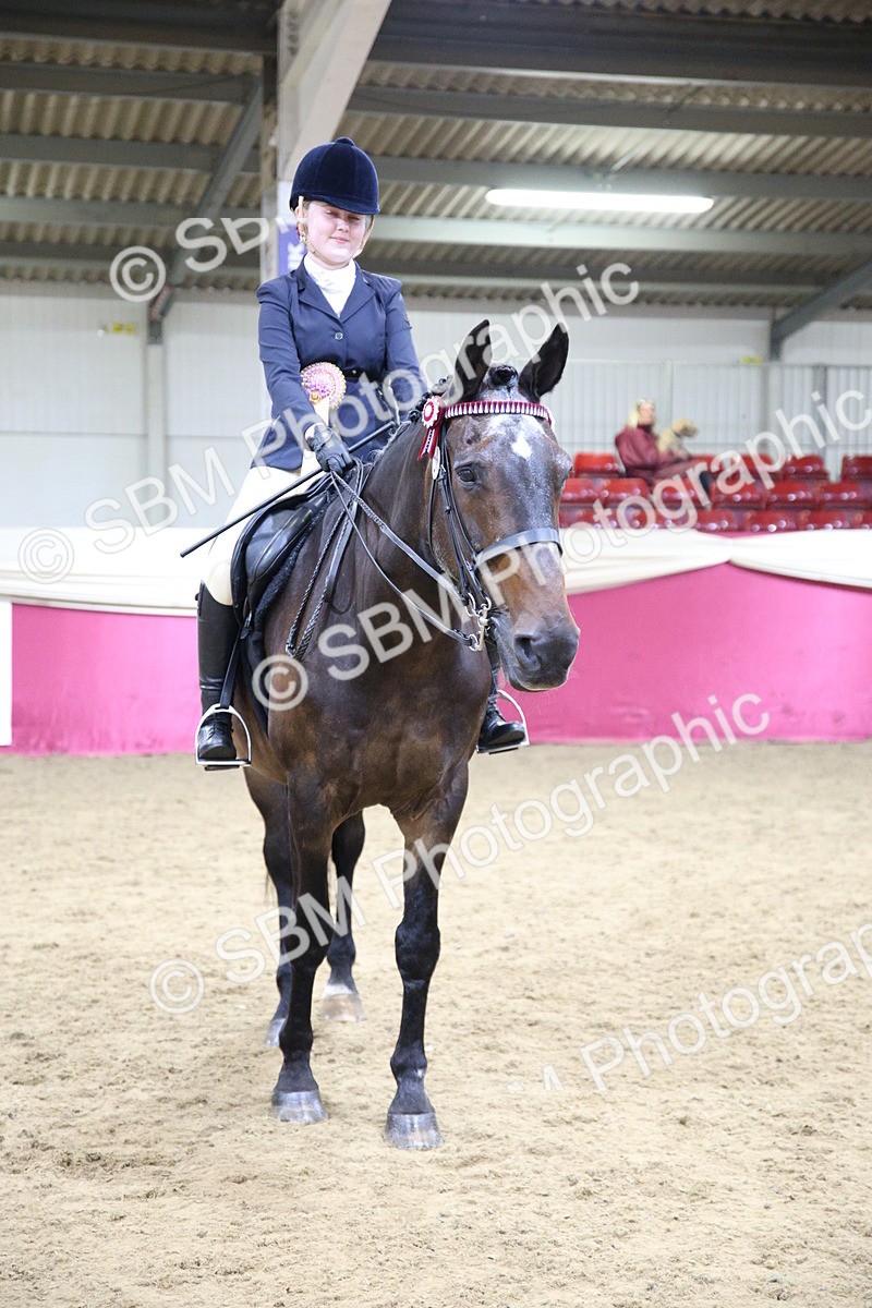 SBM_18621 - Class C Best Turned Out Champ