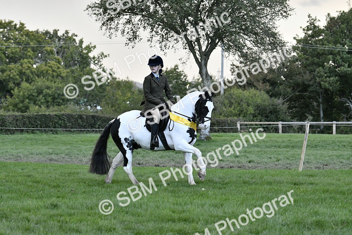 SBM_53316 - S14 - Riding Club Horse