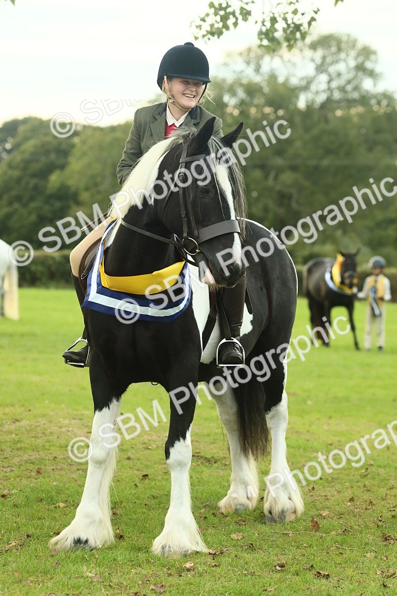 SBM_75294 - Super Supreme Championship