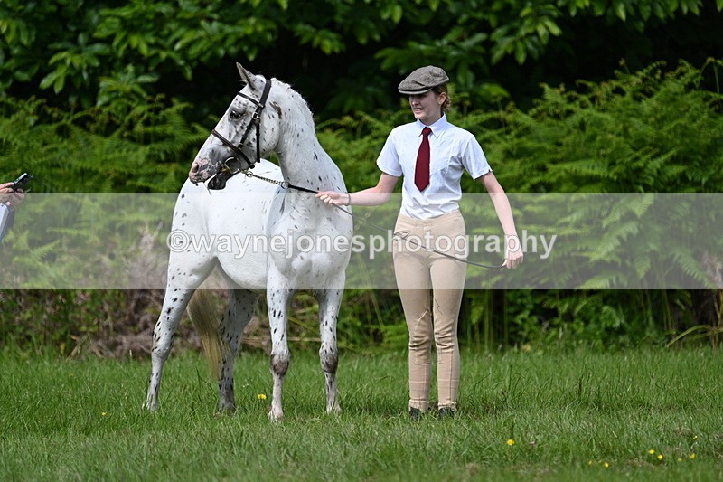 WJ7_1283 - Class 11 Condition & Turnout