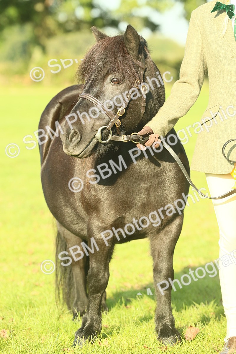 SBM_58481 - S37 - Starters In Hand Showing
