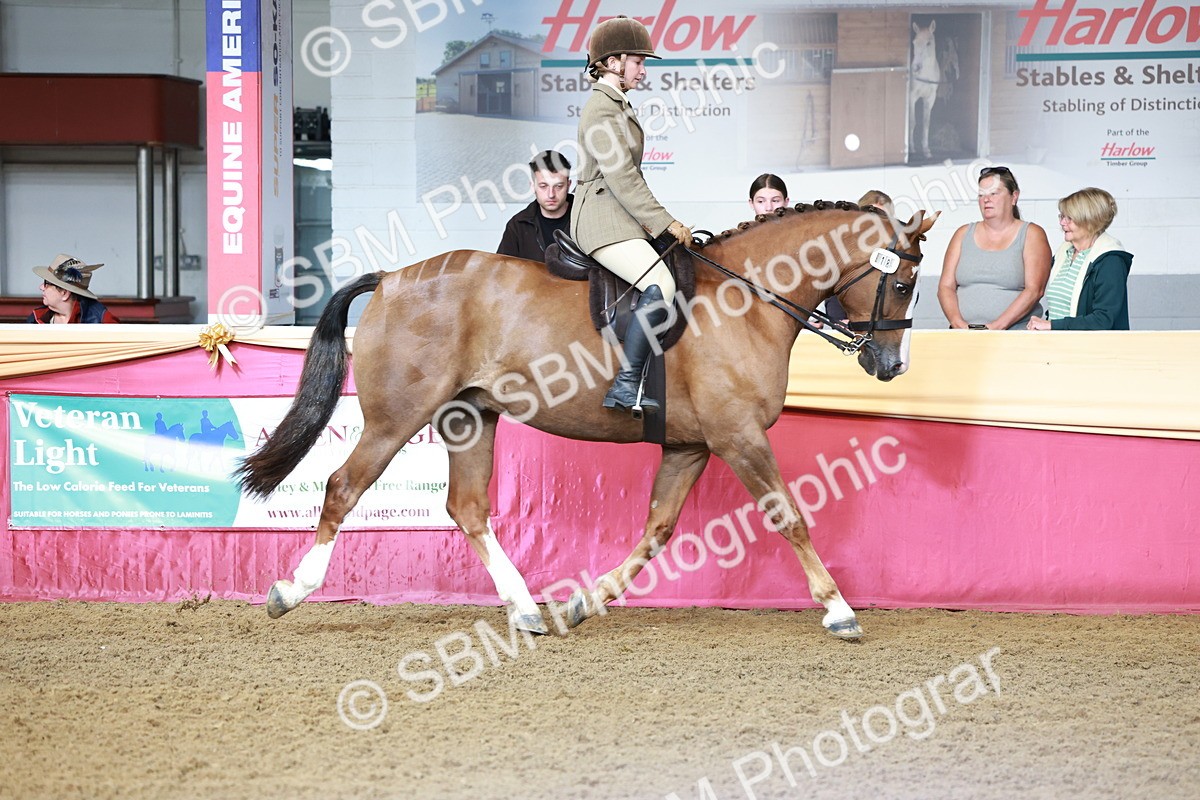 SBM_11964 - Class 102 - Equitation (Best Rider) Adult