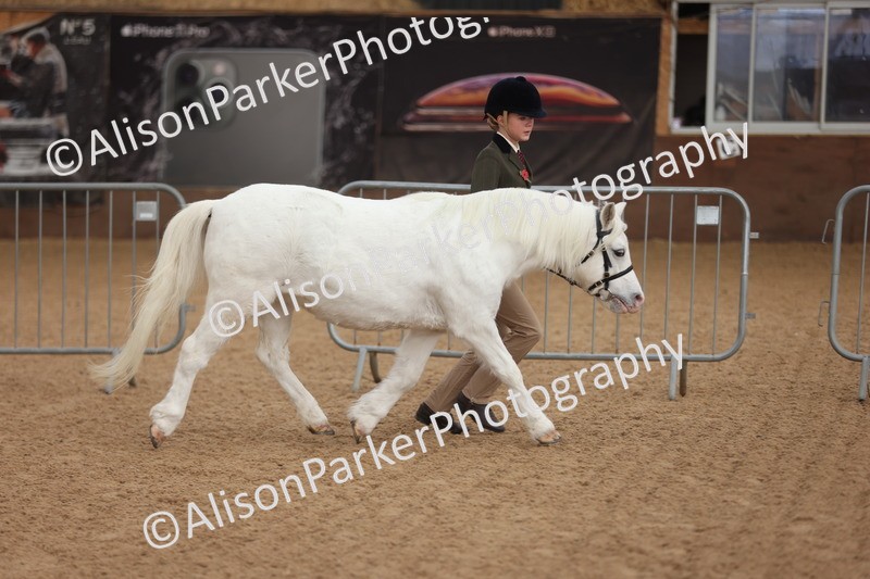 20251109-0553 - Class 21 - Mares 4 Years and over