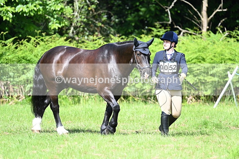 WJ7_1125 - Class 11 Condition & Turnout
