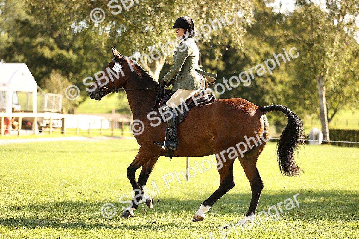 SBM_26464 - S6 - Novice & Newcomers Ridden Horse