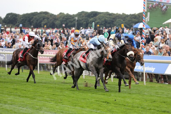 yr18082022r2-34 - Race 2 2.25pm Goffs UK Harry Beeby Premier Yearling Stakes