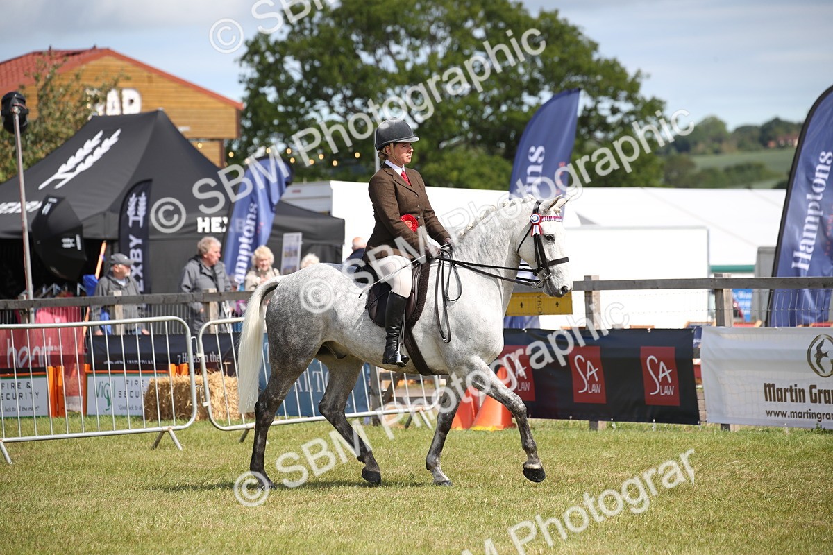 SBM_13302 - Class 95-96 - LIHS BSHA Rising Star Hack Riding Horse