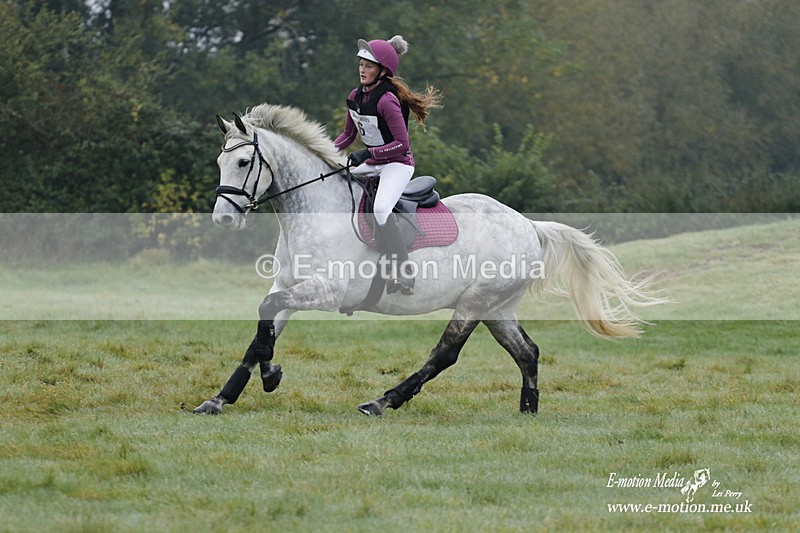 WWHT 171021 0319 - Novice Restricted (0.80m)  17/10/21