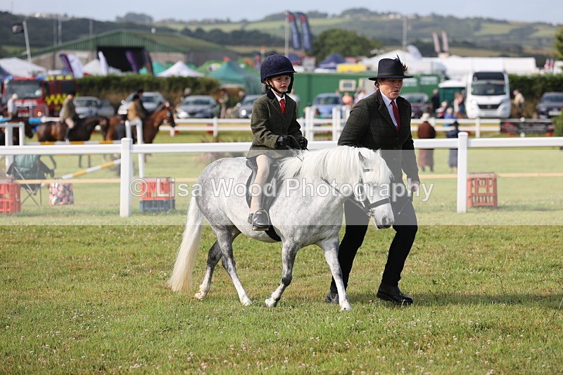 JPP_0434 - Class 14: Cornish Combination Leading Rein