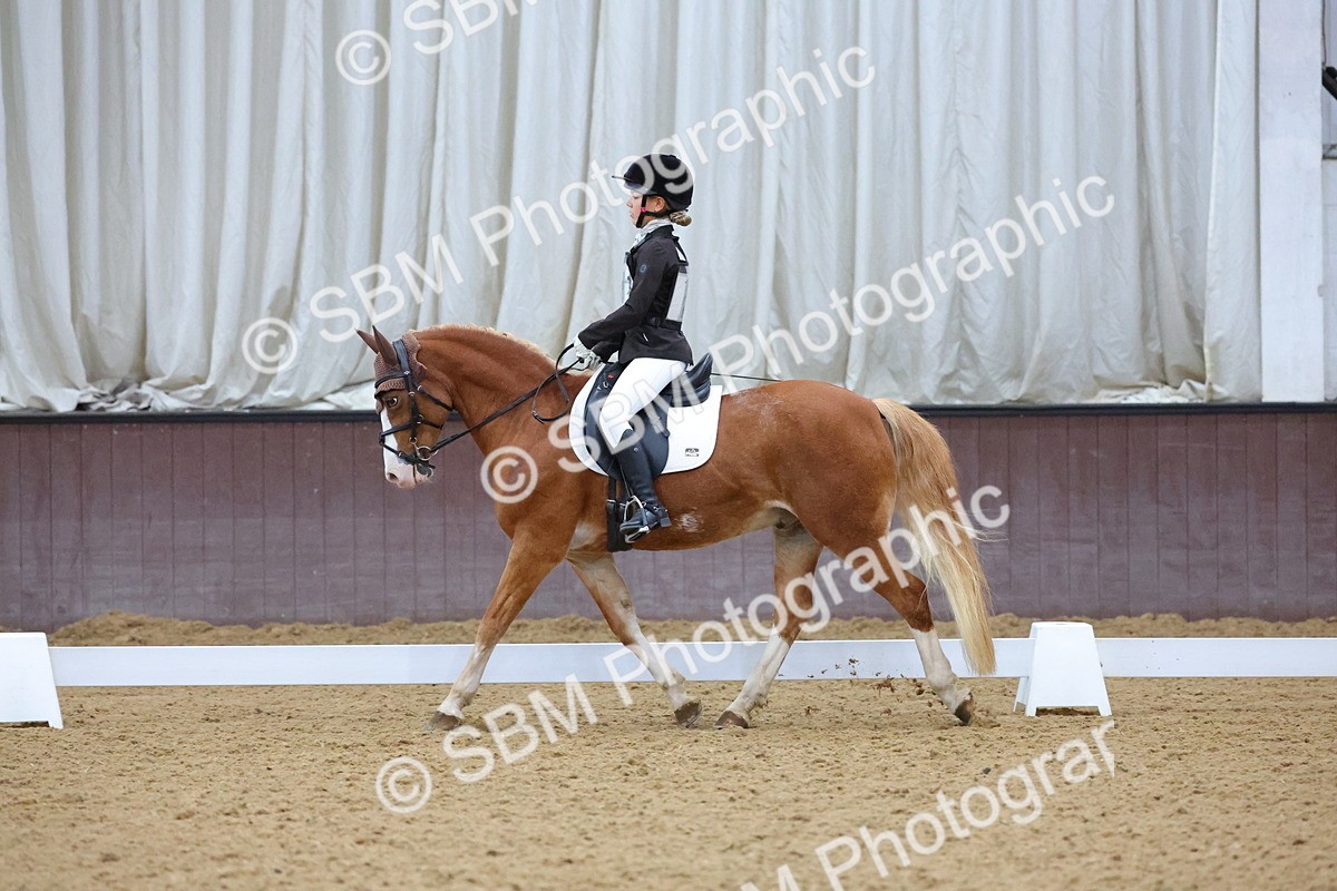 SBM_004192 - Intermediate