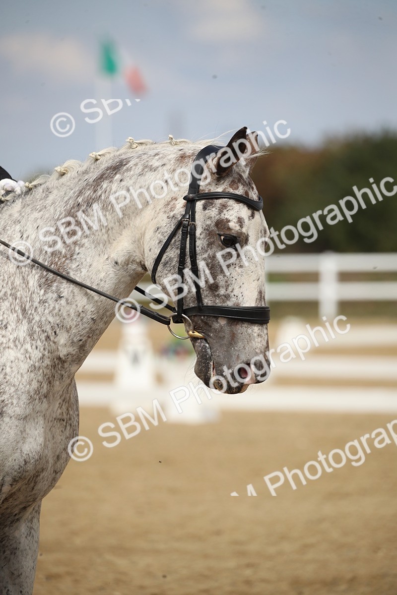 SBM_001393 - Class 2 - Pelim 5 - 11.36.12.32