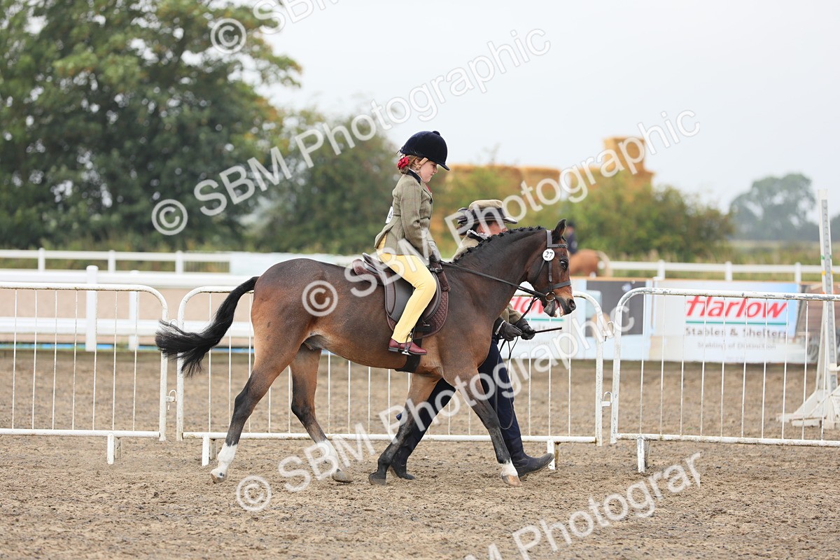 SBM_21732 - Class 806 - Young ridder 10 Yr & Under