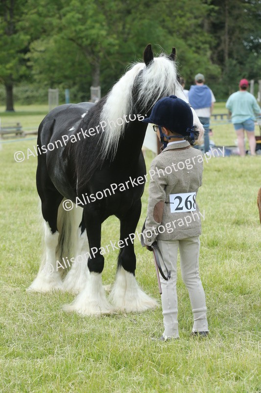 20260614-4306 - Class 18 - Best Junior Handler