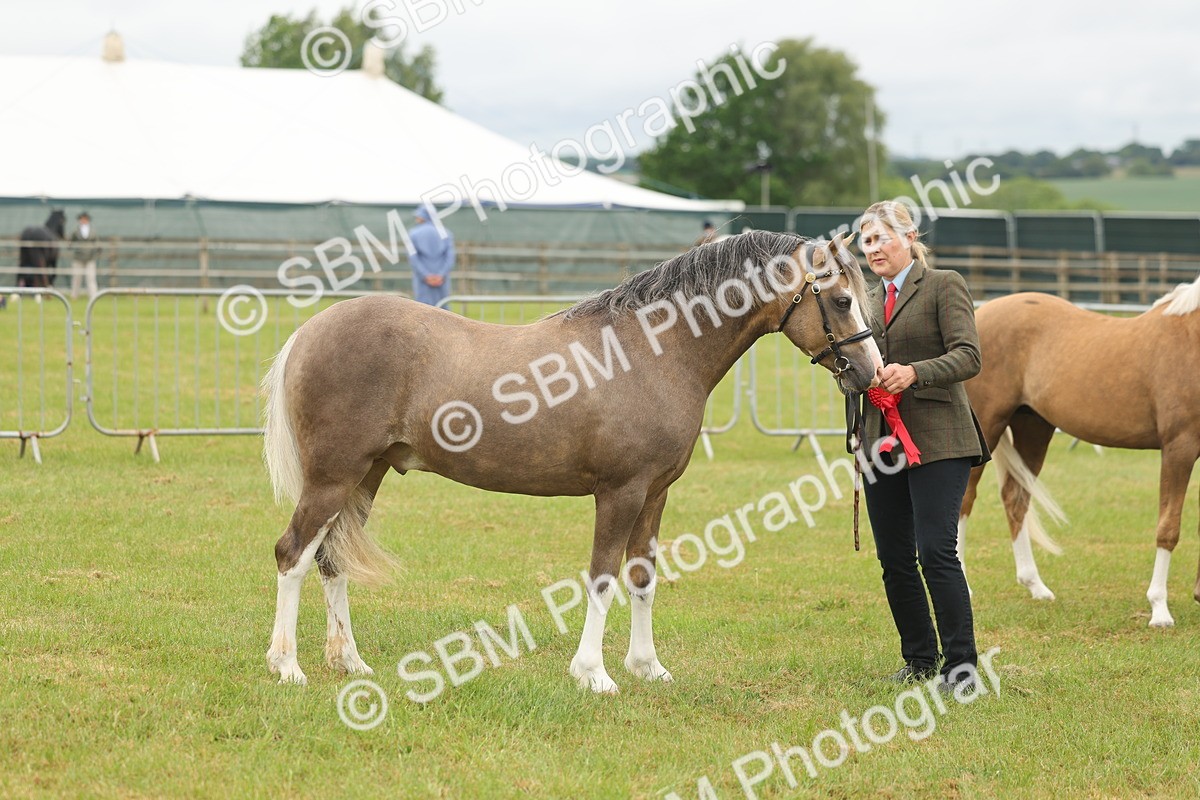 SBM_02185 - Class 50-57 - M&M Welsh Pony In Hand