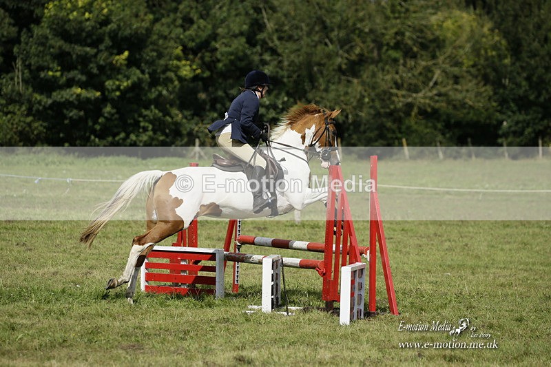 BVRC 120921 414 - Bourne Valley Riding Club UA Dressage & Show Jumping 12/09/21