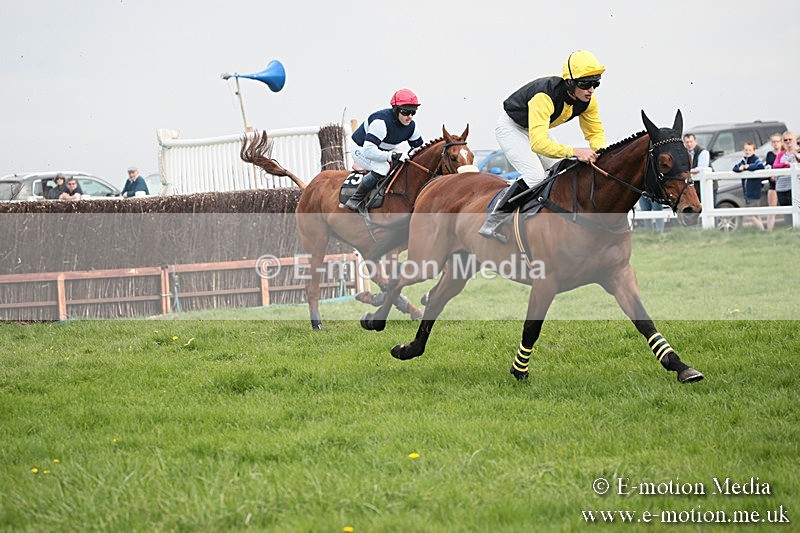 PtP 210418 346 - South & West Wilts Point-to-Point Larkhill 21/04/18