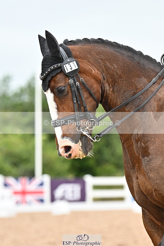 240623A-155339-19810 - Cls 54 BD Medium 73