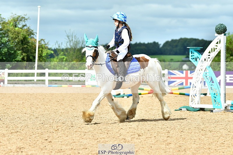 230804A-112218-02233 - Showjumping Competition