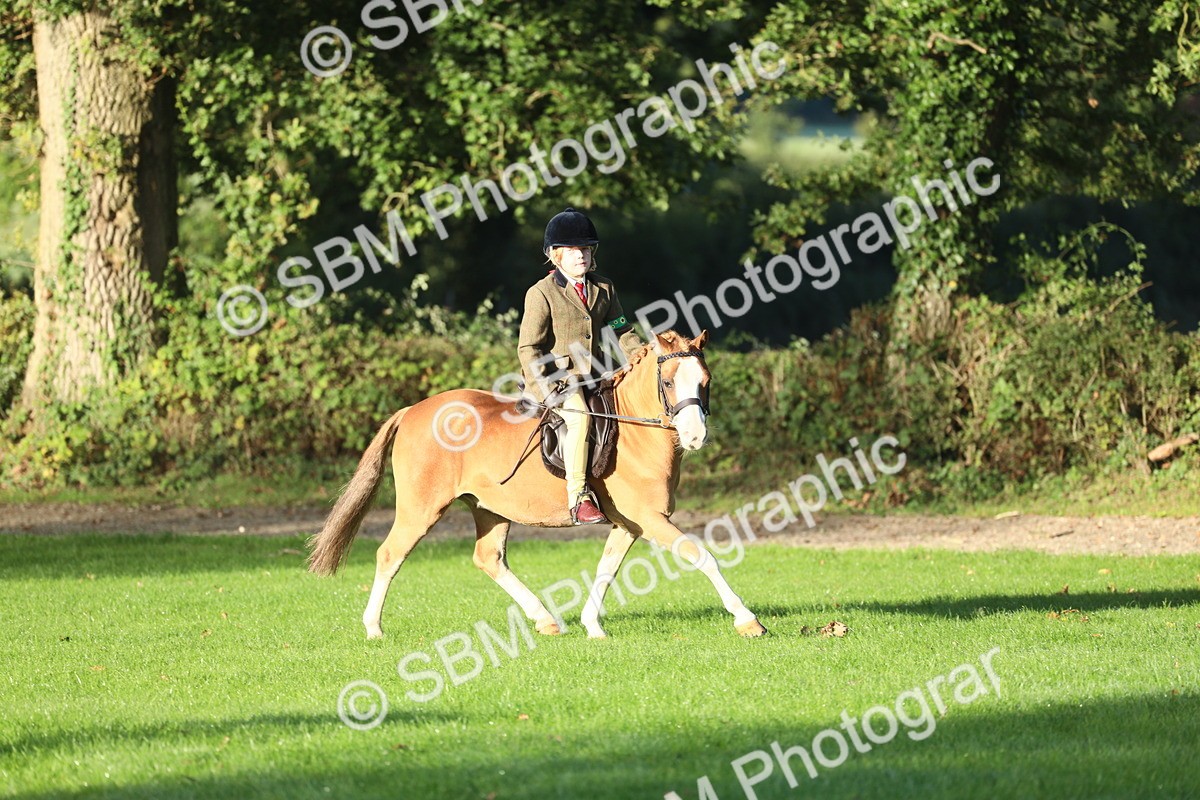 SBM_31823 - S28 - Nursery Stakes Working Hunter Pony