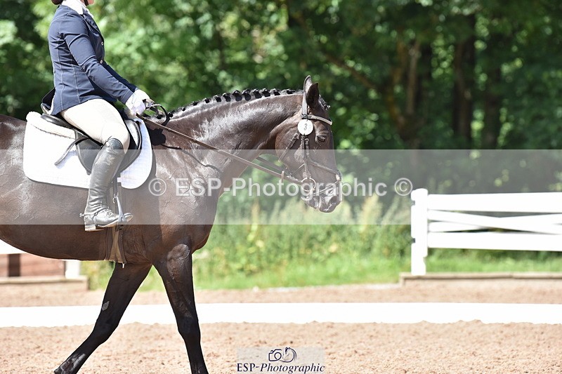 240706A-151818-03498 - Cls 4C Snr Novice 23