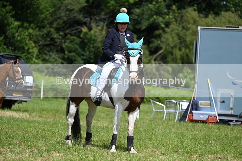 WJ7_1851 - Class 9 Pony Club Pony