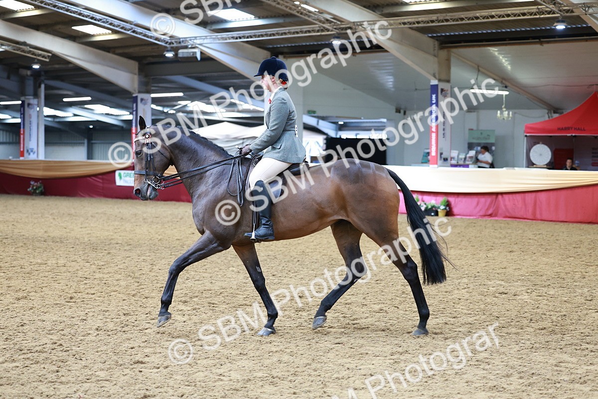 SBM_14961 - Class 108 - Ridden Retired Racehorse