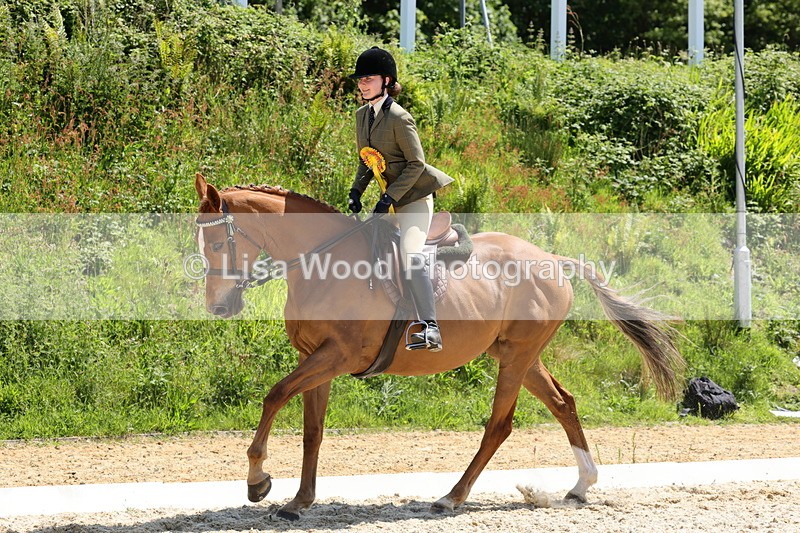 1X9A1937 - Class 12: Ridden Riding Horse/Hack