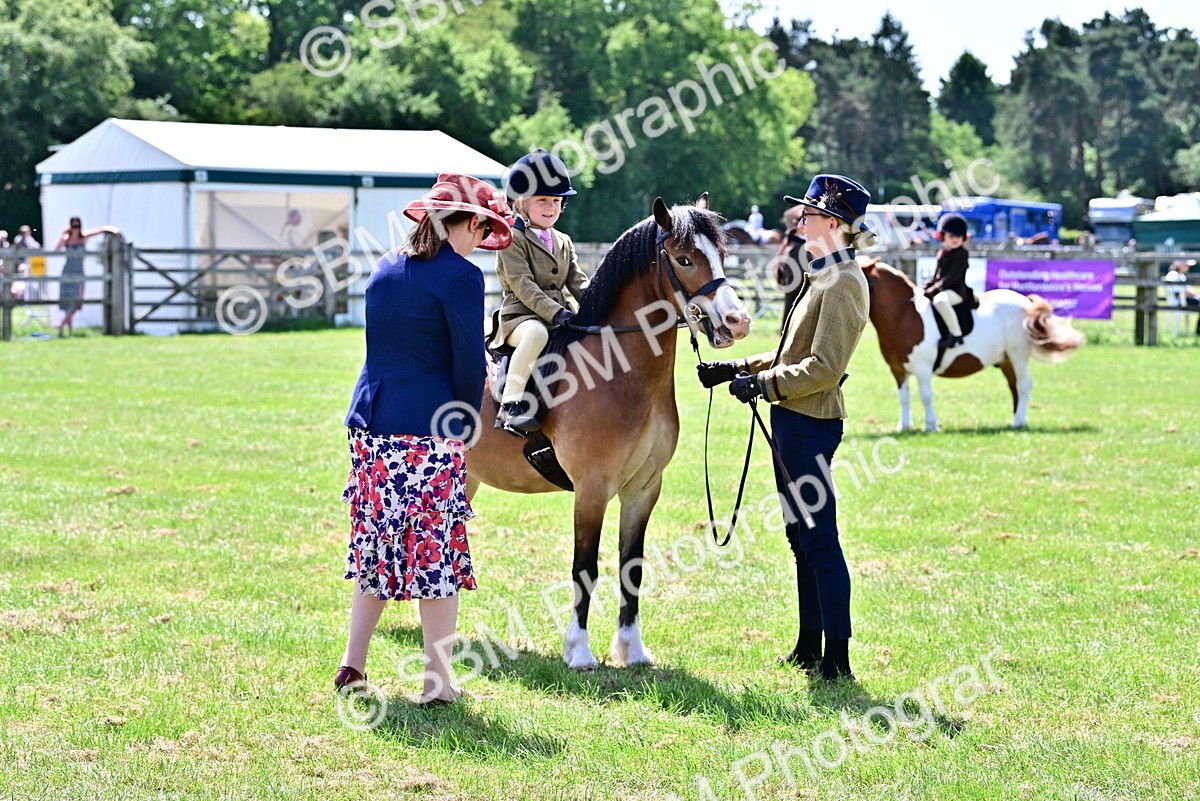 SBM_05818 - Class 59-60 - TSR M&M  Lear Rein and First Ridden Amateur of the year