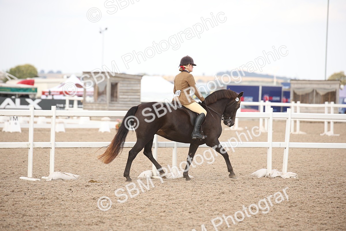 SBM_08756 - Class 12R Regional Ridden Pre-Vet