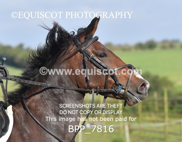 BPP_7816 - CLASS 2 Club/ Unaffiliated 80cms Open