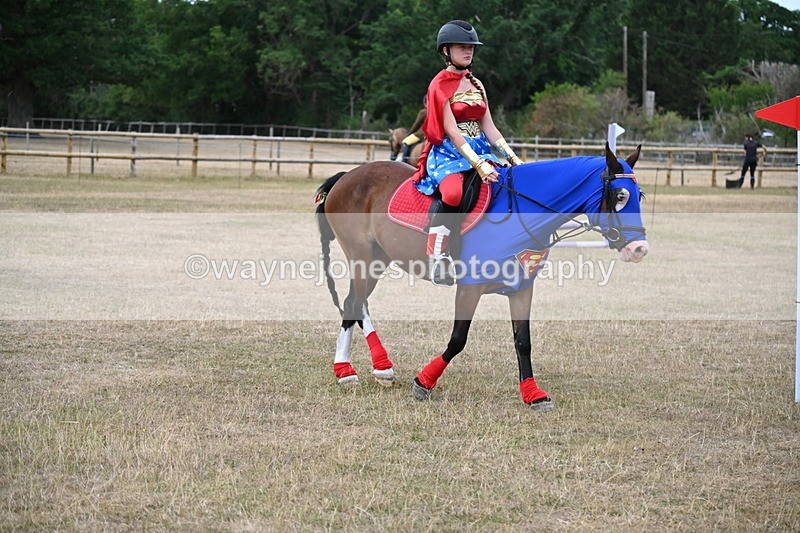 WJ6_8675 - Class 11 Fancy Dress