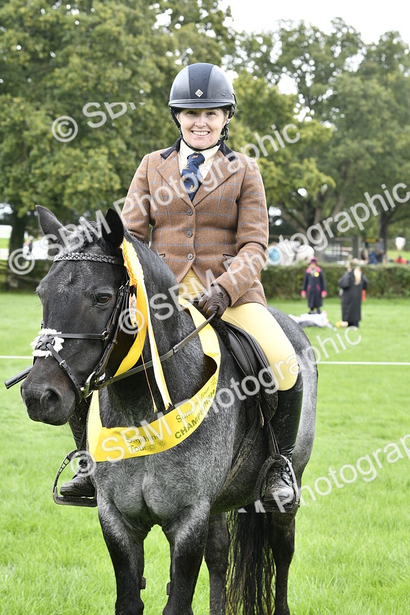 SBM_38275 - S31 - Novice & Newcomer Working Hunter Pony