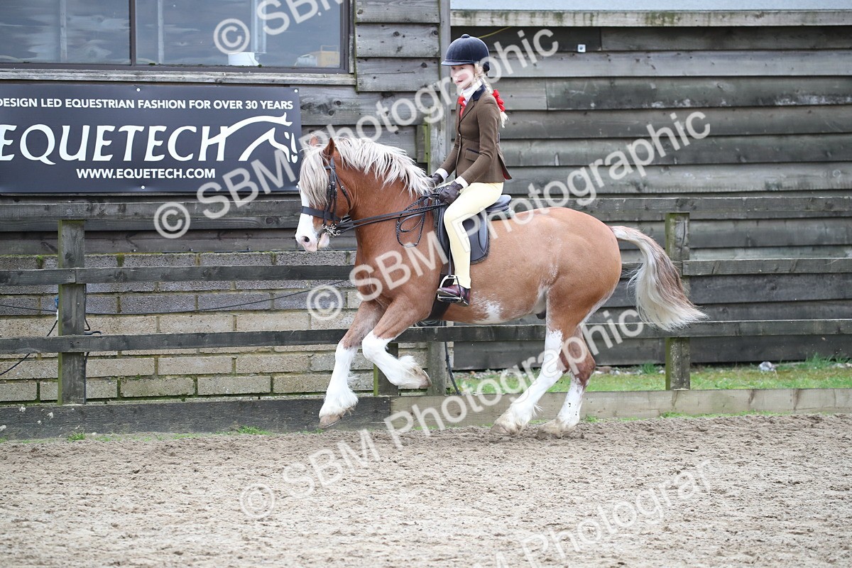 SBM_006161 - Class 10-13 - RIHS Small Large Breeds