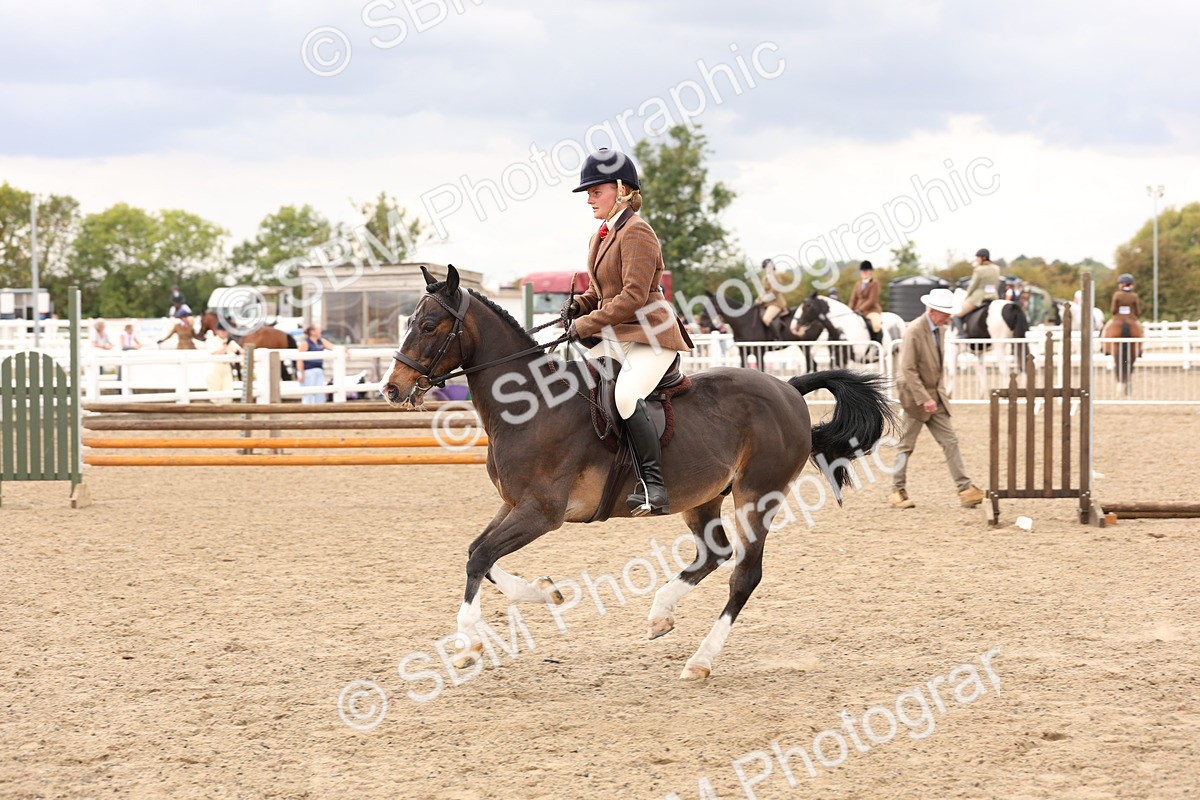 SBM_06202 - Class 57b -  Style & Performance - 60cm (20+)