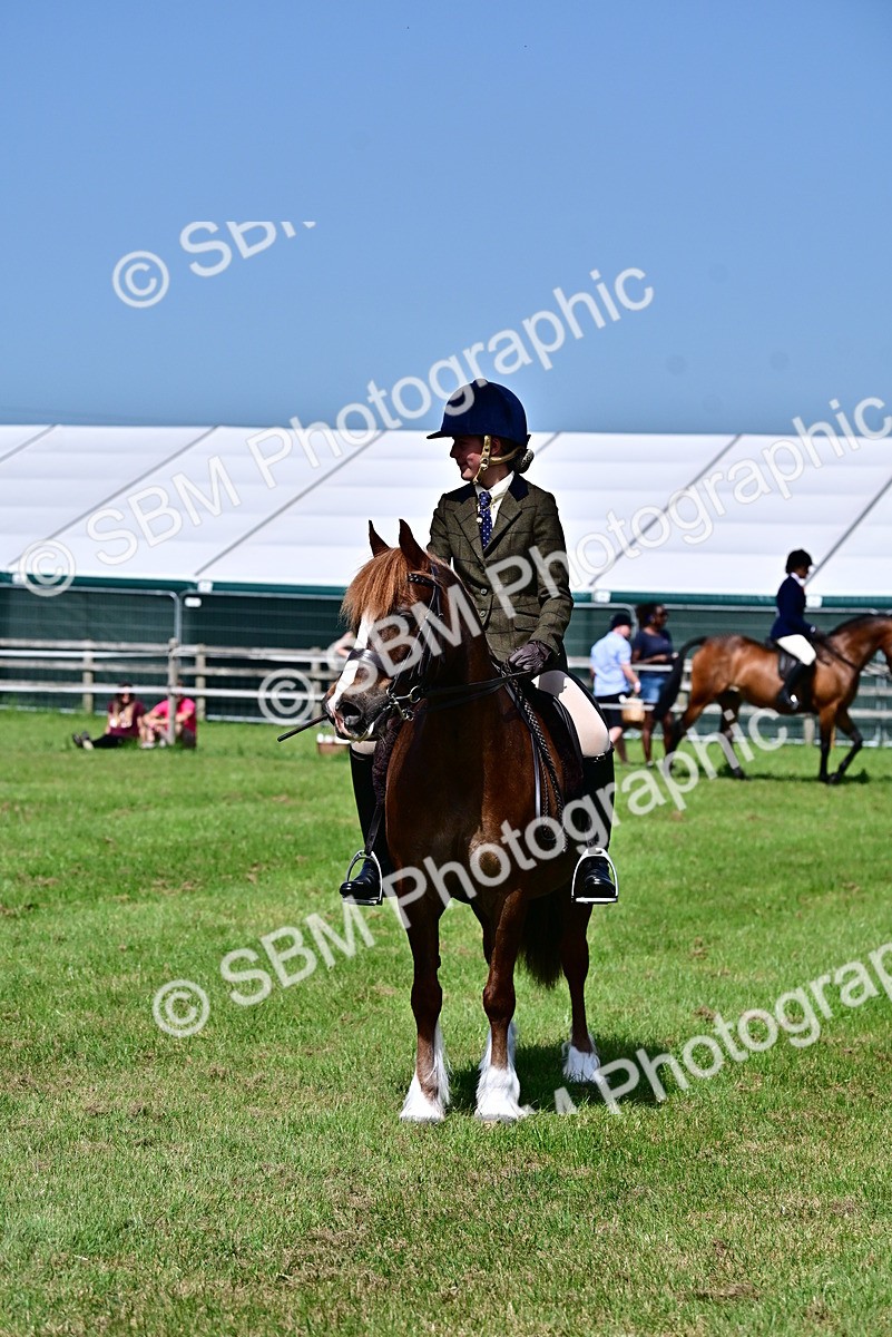 SBM_03790 - Class 58 - TSR  Ridden Veteran Amateur of the year