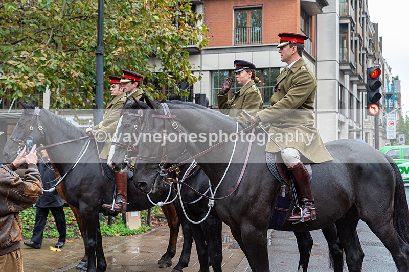 NGP_7067 - Animals In War Memorial - 10-11-23