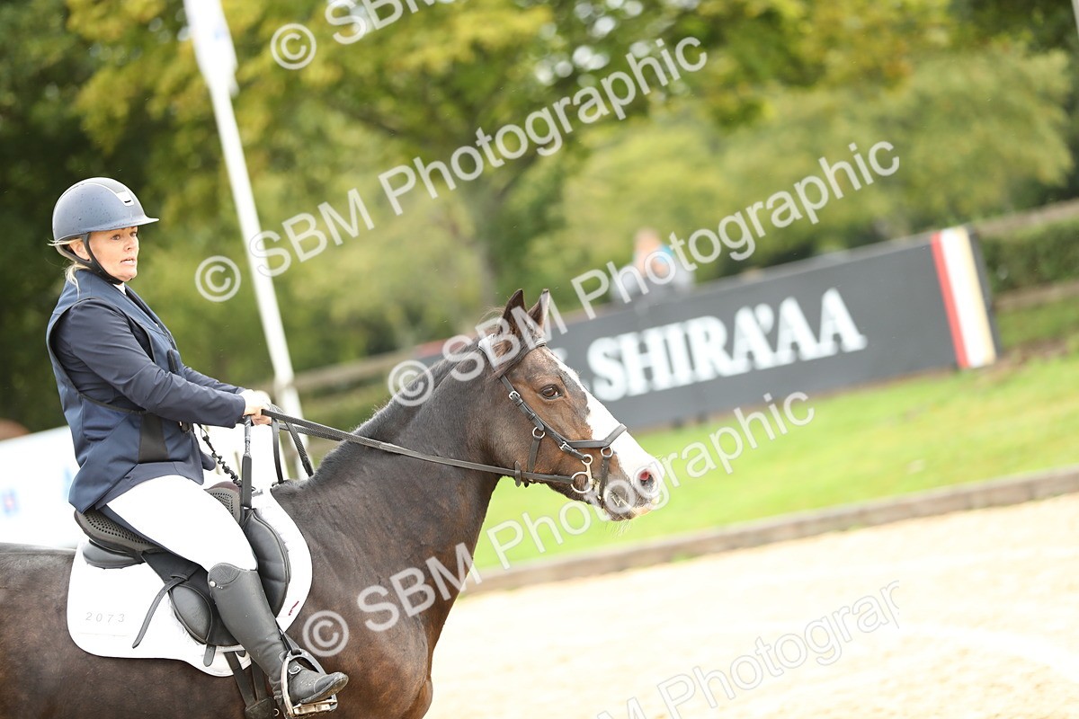 SBM_02012 - J34 - Veteran Rider 50cm