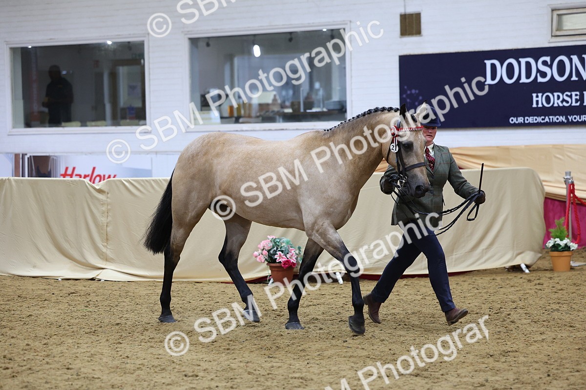 SBM_20890 - Class 902 - Supreme Final IH Veteran