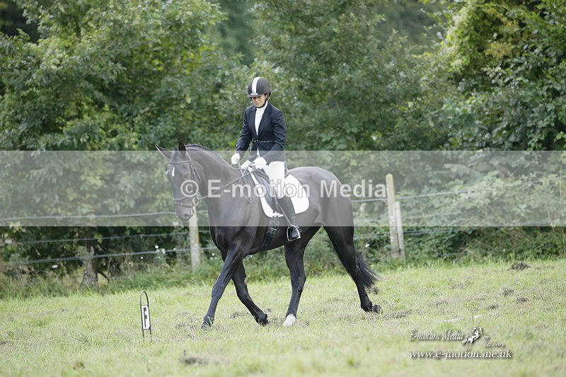 BVRC 120921 366 - Bourne Valley Riding Club UA Dressage & Show Jumping 12/09/21
