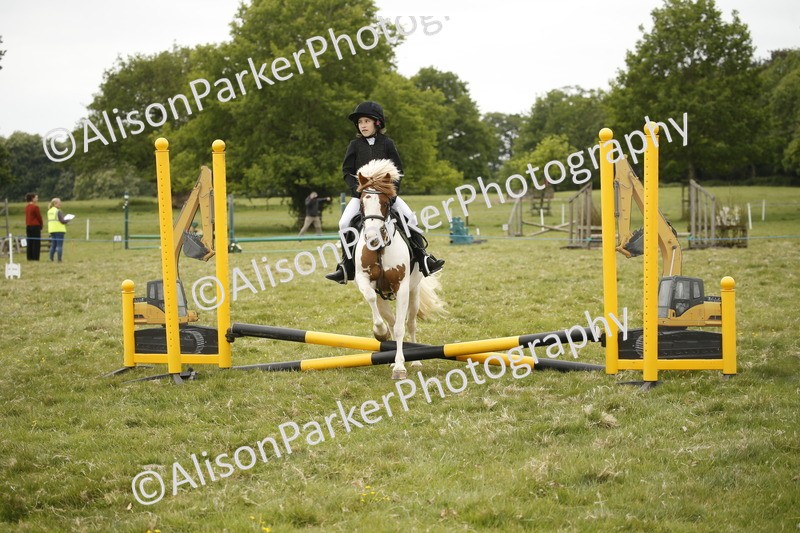 20250517-0889 - Class 2 - 30cm Off Lead Rein