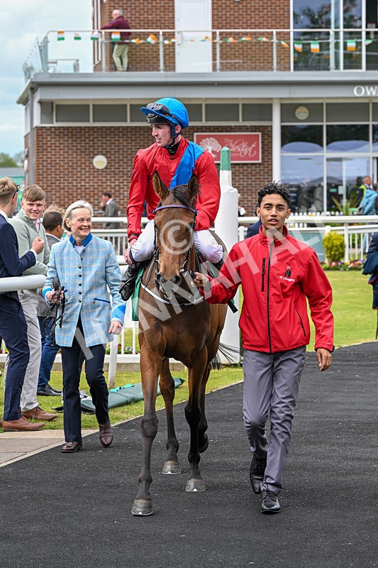 160526-Race 3-Caraway-9602 - Race 3 3.00pm Metaxas Handicap