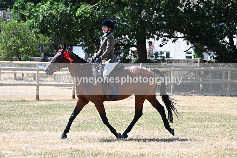 WJ7_3213 - Class 7 Riding Club Show Horse