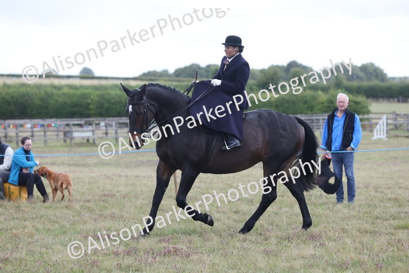 20250831-1201 - Class 15 - Ridden Veteran